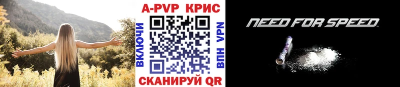 А ПВП СК КРИС  Тайга 