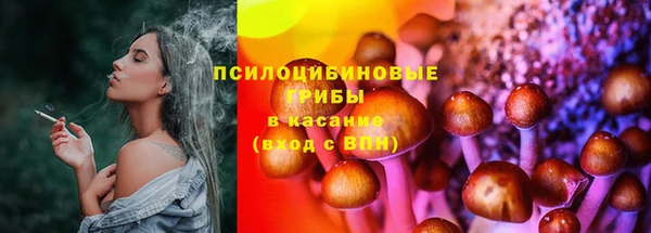 apvp Сафоново